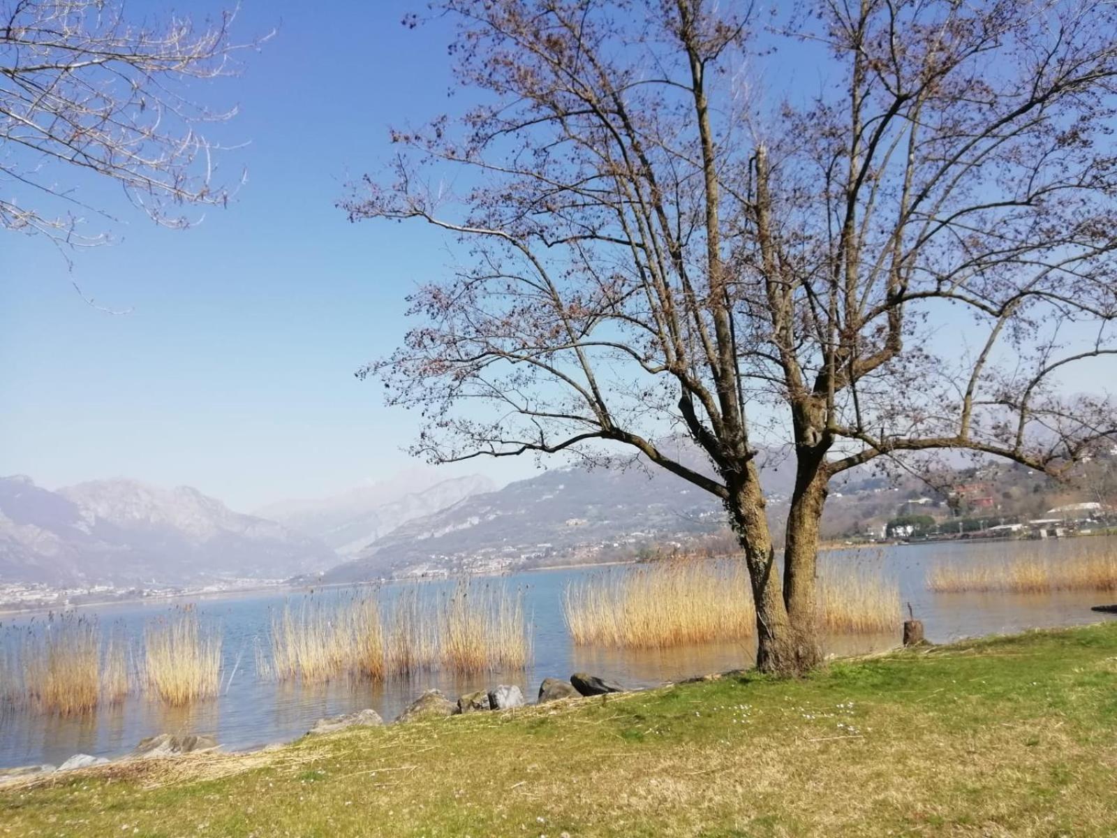 La Poesia Del Lago Oggiono Exteriér fotografie